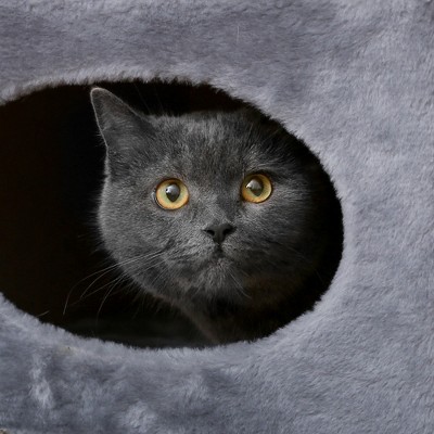 Gray Plush 2-Story Cat Condo with Sisal Scratching Surface