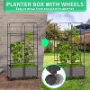 DoCred Raised Garden Bed Planter with Trellis & Wheels – Tomato Cage Planter Box for Climbing Vegetables, Indoor & Outdoor Use, Single & Multi-Pack - 2 of 4