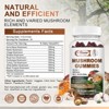 Alliwise Mushroom Supplement Gummies for Mood and Focus, Vegan, Non-GMO, 60 CT - 2 of 4