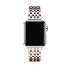 Posh Tech Remy Stainless Steel Band for Apple Watch - 2 of 4