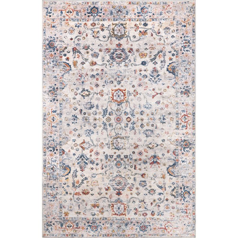 Liza Traditional Faded Cotton Area Rug, 1 of 11