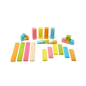 Tegu Magnetic Wooden Blocks, Tints, 24-Pieces - 1 of 4