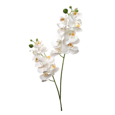 Floral Home 22" White Phalaenopsis - 12-Piece