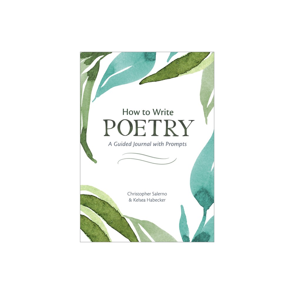 How to Write Poetry - by Christopher Salerno & Kelsea Habecker (Paperback)