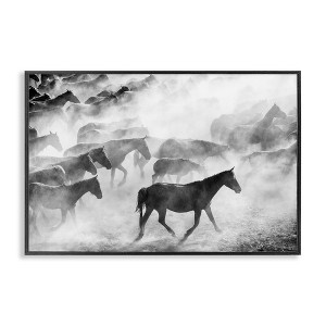 Stupell Industries Dusty Road Horse Photograph Framed Giclee Art - 1 of 4