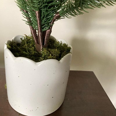 Guest review image 3 of 3, zoom in