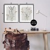 Stupell Industries Delicate Wildflower Herb Sprigs 2pc Framed Giclee Art Set - 3 of 4