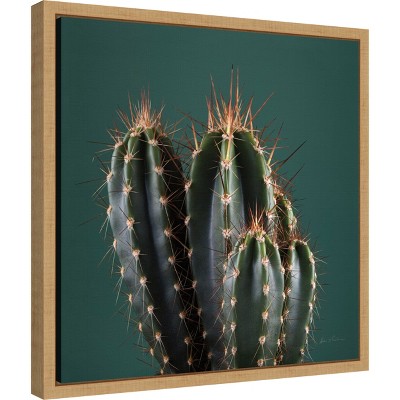 Green and Brown Framed Cactus Canvas Wall Art 16 x 16-in.