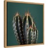 Amanti Art Cactus IV by Andre Eichman Canvas Wall Art Print Framed 16 x 16-in. - 3 of 4