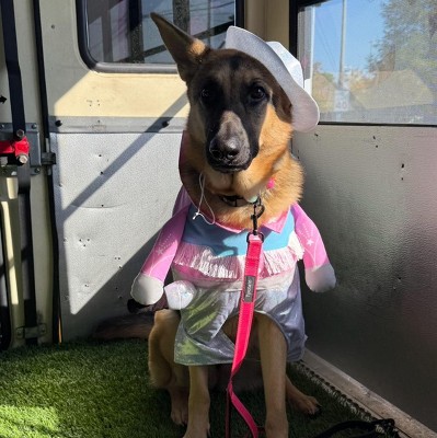 Guest review image 2 of 4, zoom in