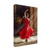 Trademark Fine Art -The Macneil Studio 'Flamenco' Canvas Art - 4 of 4