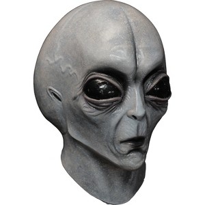 Ghoulish Adult Area 51 Costume Mask - 14 in. - Gray - 1 of 1