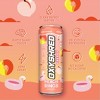 EHPlabs OxyShred Energy Drink - Zero Sugar, Zero Calories, with Amino Acids, Vitamin C, Green Tea Extract & Clean Caffeine - Peach (12-Pack) - 3 of 4