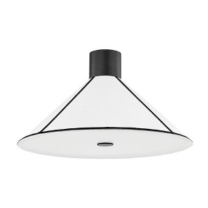 Troy Lighting Forrest 2 - Light Semi-Flush Mount in  Soft Black - 1 of 1