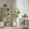 Artificial Tree Indoor, Tall Faux Plants In Pot, Potted Faux Aralia Plants For Home Office Living Room Decor - 4 of 4
