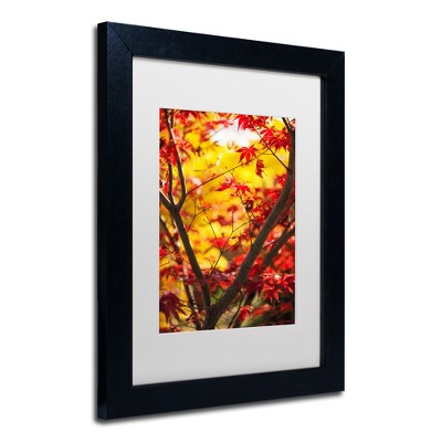 Trademark Fine Art -Philippe Sainte-Laudy 'Morning Jive' Matted Framed Art
