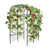 Metal Garden Arch Trellis, 7.3Ft Black for Raised Beds, Plant Support for Cucumbers & Climbing Vegetables - 2 of 4