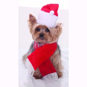 Forum Novelties Santa Christmas Pet Costume - 1 of 1