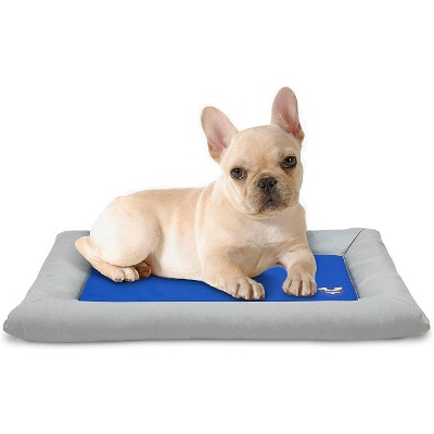 canine cooler bed