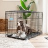 Carlson Double Door Wire Dog Crate - Black S/M/L - 2 of 4