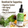 Windmill Natural Vitamins Oil of Oregano,  1 fl oz - 3 of 4