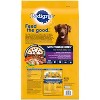 Pedigree with Tender Bites Chicken & Steak Flavor Adult Complete & Balanced Dry Dog Food - 14lbs - image 3 of 4