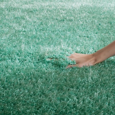 Charlotte Teal 4' x 6' Shag Area Rug