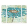 Chris Paschke 'Spa Daisies I' Multi Panel Art Set Large 3 Piece - 2 of 2