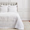 EY Essentials 26" x 26" Tess Dove Cotton Euro Sham - Machine Washable - 2 of 3