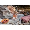 Chateau d'Esclans Whispering Angel Rosé Wine - 375ml Bottle - 4 of 4
