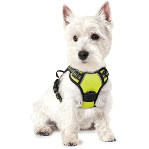 rabbitgoo Dog Harness No Pull with 2 Leash Clips, Control Handle for Puppy, Green, XS - 1 of 1
