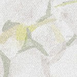 farmhouse gray