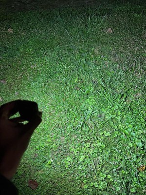 Guest review image 3 of 4, zoom in