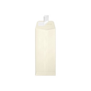 JAM Paper Self Seal Policy Envelope 4 1/8" x 9 1/2" Natural Linen 50/Pack (7716-NLI-50) - 1 of 2