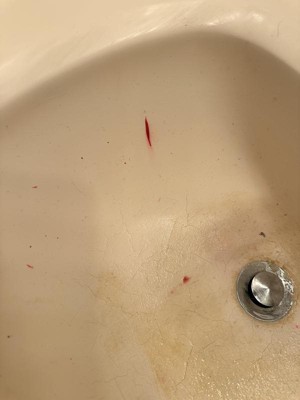 Guest review image 2 of 2, zoom in