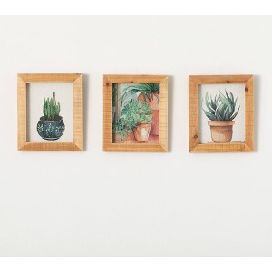 Sullivans Planter Shadow Box Artwork Set of 3 12"H; Multicolor - 1 of 3