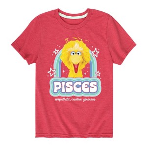 Boys' - Sesame Street - Pisces Big Bird Short Sleeve Graphic T-Shirt - 1 of 4