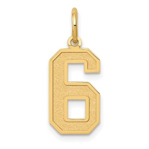 Black Bow Jewelry 14k Yellow Gold, Jersey Collection, Medium Number 6 Pendant - 1 of 4