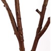 Floral Home 41" Brown Twig Branches - 24-Piece - 3 of 3