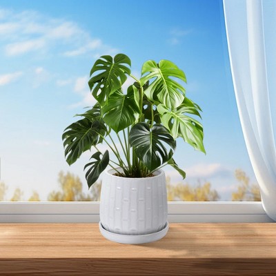 KTMBDW Plant Pots, Ceramic Planters with Drainage Holes,Nursery Planting Pot for Indoor Out Door Plants