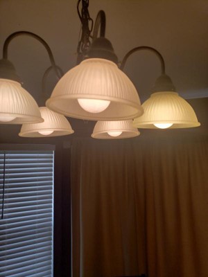 Guest review image 1 of 2, zoom in