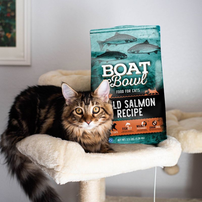 Boat To Bowl Wild Salmon and Fish Flavor Recipe Adult Dry Cat Food - 3.5lbs, 4 of 13