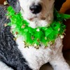 Midlee St. Patrick's Day Shamrock Decorative Dog Collar - 2 of 4