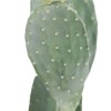 Nasitip Artificial Cactus Potted Plant 42" Tall Fake Big Cactus Plants, Faux Cacti Realistic Lifelike Saguaro for Indoor Outdoor Decoration - 4 of 4