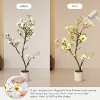 Faux Southern Magnolia Plant Yellow Flowered Magnolia, Artificial Magnolia Tree Inc. Realist Touch Flowers Vivid Leaves White Pot Dry Moss - 3 of 4