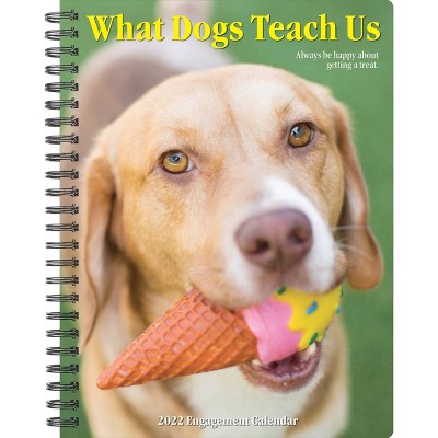 2022 Engagement Calendar What Dogs Teach Us - Willow Creek Press