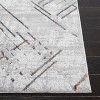 Sonoma SON376 Power Loomed Indoor Rugs - Safavieh - 3 of 4