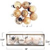 Storied Home Embossed Mercury Glass Ornaments in Brass and Glass Display Box, Antique Gold Finish and Blush - 2 of 2