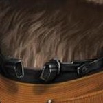 mahogany