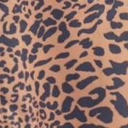 walnut brown animal